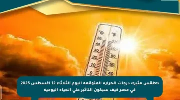 «طقس مثير» درجات الحرارة المتوقعة اليوم الثلاثاء 12 أغسطس 2025 فى مصر كيف سيكون التأثير على الحياة اليومية